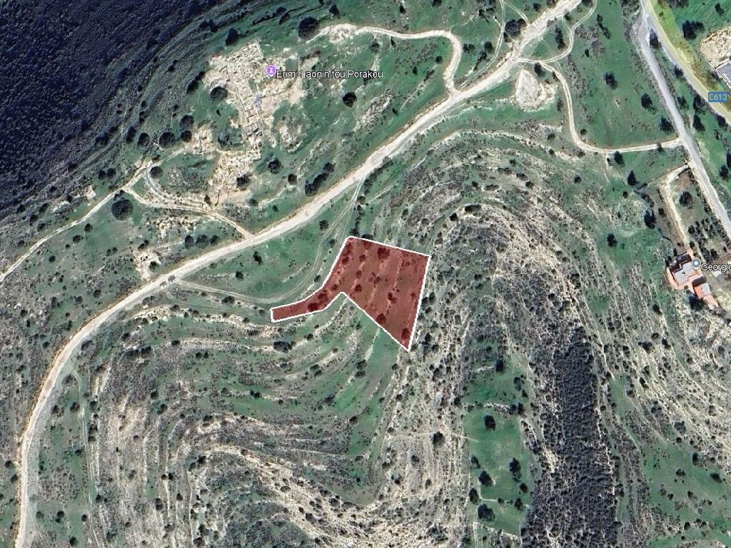 Field-Erimi-PR43347