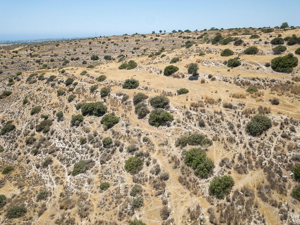 Field-Erimi-PR43347