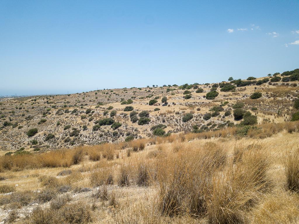 Field-Erimi-PR43347