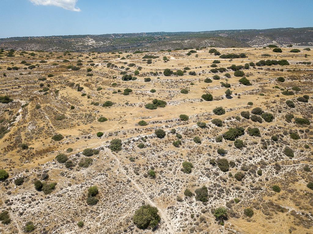 Field-Erimi-PR43347