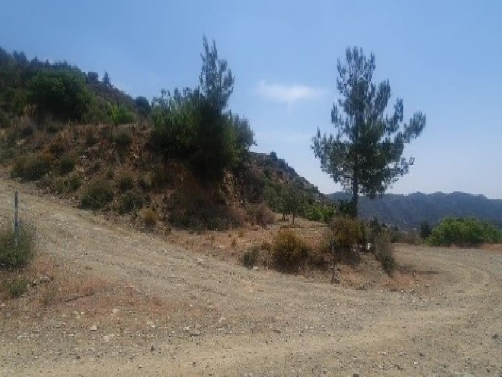 Field-Agioi Vavatsinias-PR42469