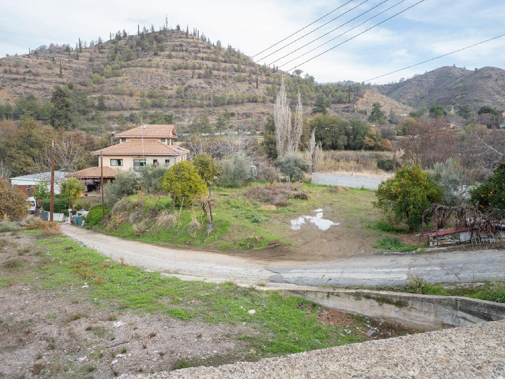 &Kappa;&alpha;&tau;&omicron;&iota;&kappa;ί&alpha; (&Mu;&epsilon;&rho;ί&delta;&iota;&omicron;) - &Gamma;&alpha;&lambda;ά&tau;&alpha;, &Lambda;&epsilon;&upsilon;&kappa;&omega;&sigma;ί&alpha;