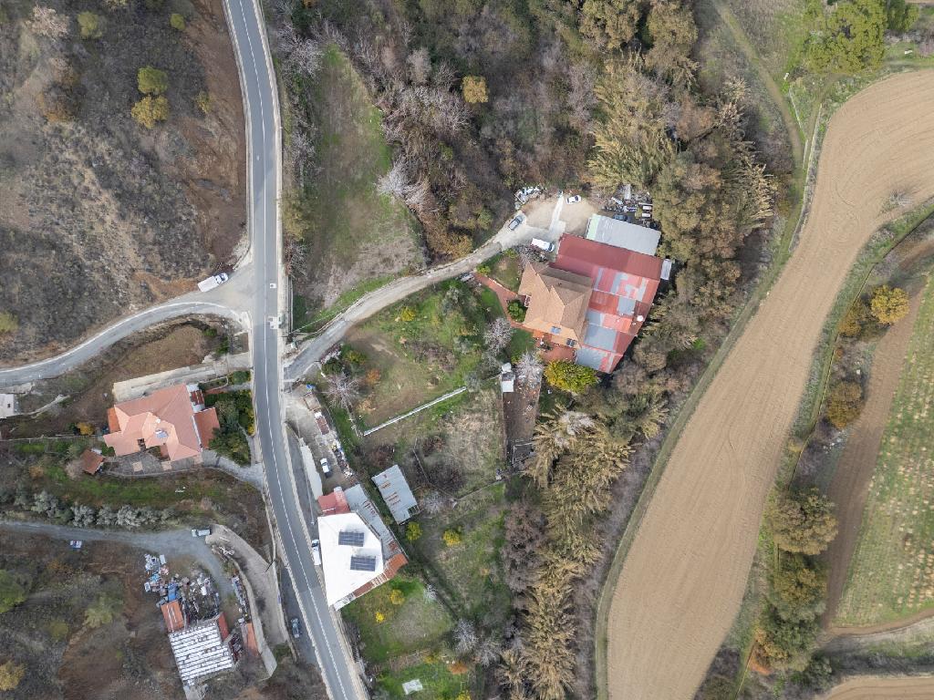 &Kappa;&alpha;&tau;&omicron;&iota;&kappa;ί&alpha; (&Mu;&epsilon;&rho;ί&delta;&iota;&omicron;) - &Gamma;&alpha;&lambda;ά&tau;&alpha;, &Lambda;&epsilon;&upsilon;&kappa;&omega;&sigma;ί&alpha;