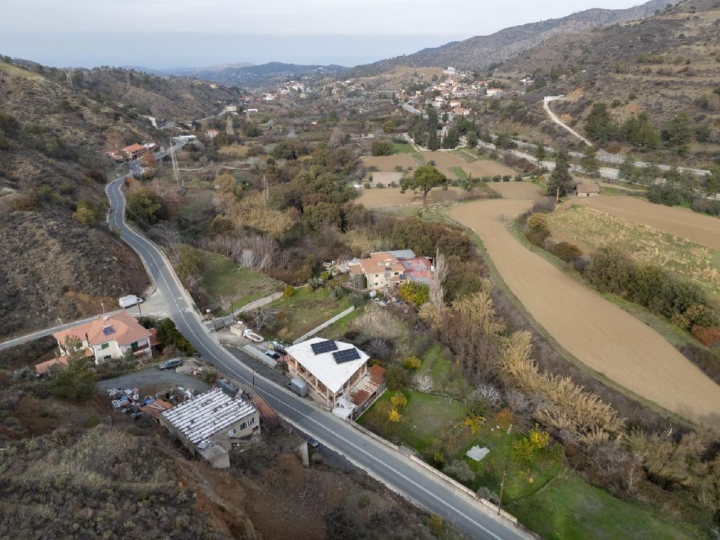&Kappa;&alpha;&tau;&omicron;&iota;&kappa;ί&alpha; (&Mu;&epsilon;&rho;ί&delta;&iota;&omicron;) - &Gamma;&alpha;&lambda;ά&tau;&alpha;, &Lambda;&epsilon;&upsilon;&kappa;&omega;&sigma;ί&alpha;