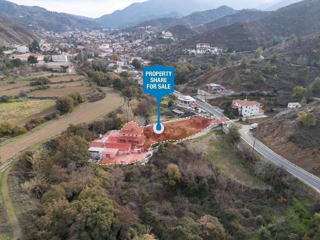 &Kappa;&alpha;&tau;&omicron;&iota;&kappa;ί&alpha; (&Mu;&epsilon;&rho;ί&delta;&iota;&omicron;) - &Gamma;&alpha;&lambda;ά&tau;&alpha;, &Lambda;&epsilon;&upsilon;&kappa;&omega;&sigma;ί&alpha;