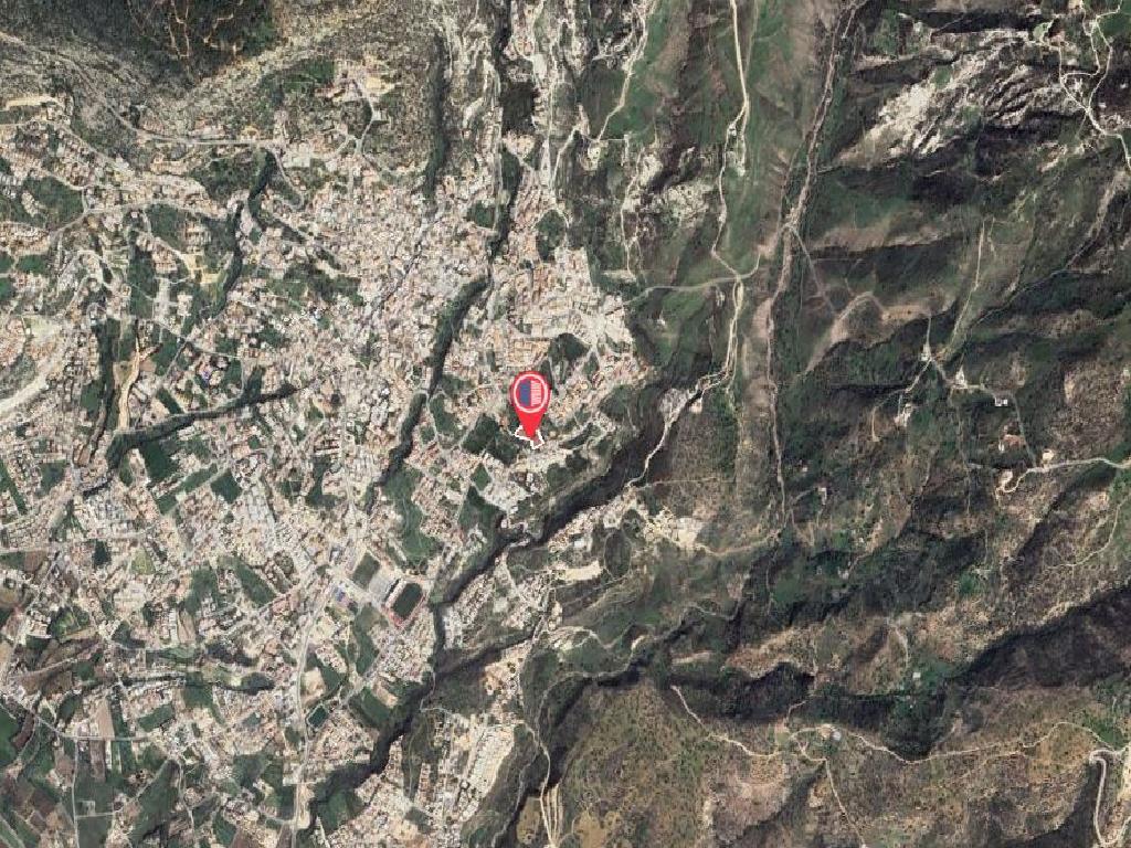 Flat-Pegeia-PR45586