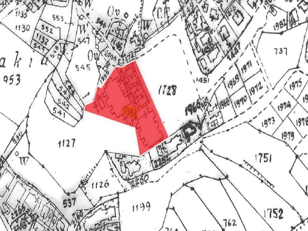 Flat-Pegeia-PR45586