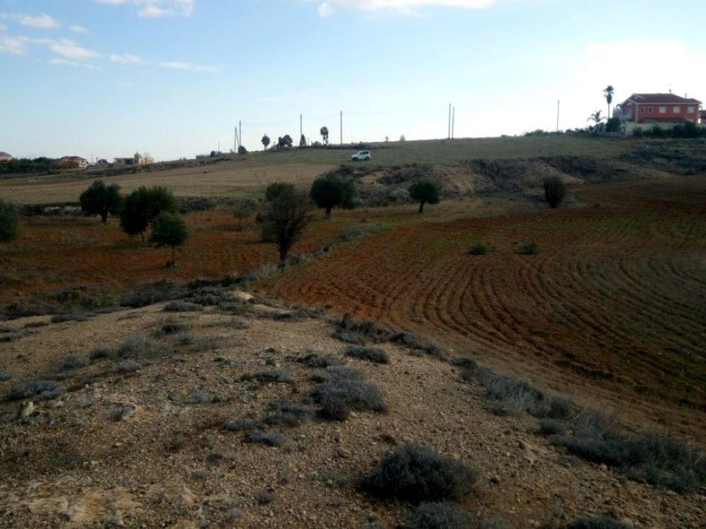Field - Paliometocho, Nicosia