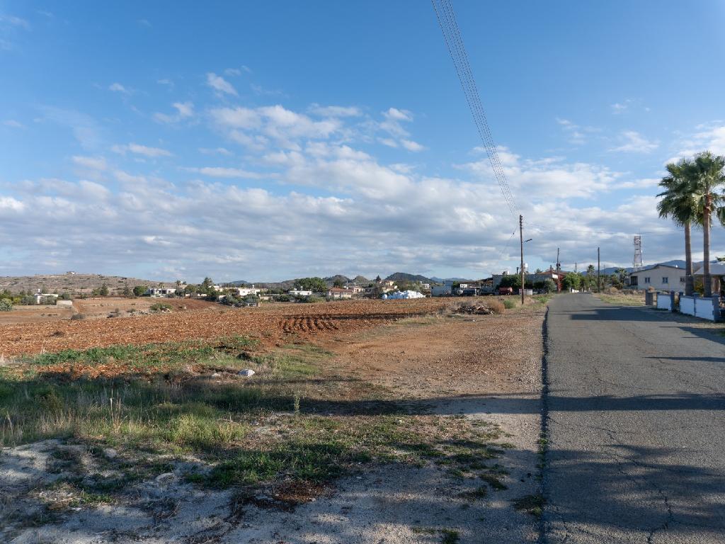 Field - Vyzakia, Nicosia