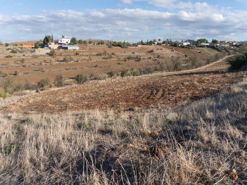 Field - Vyzakia, Nicosia
