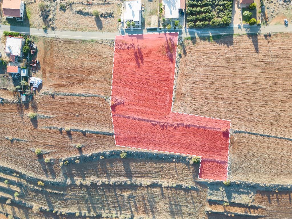 Field - Vyzakia, Nicosia