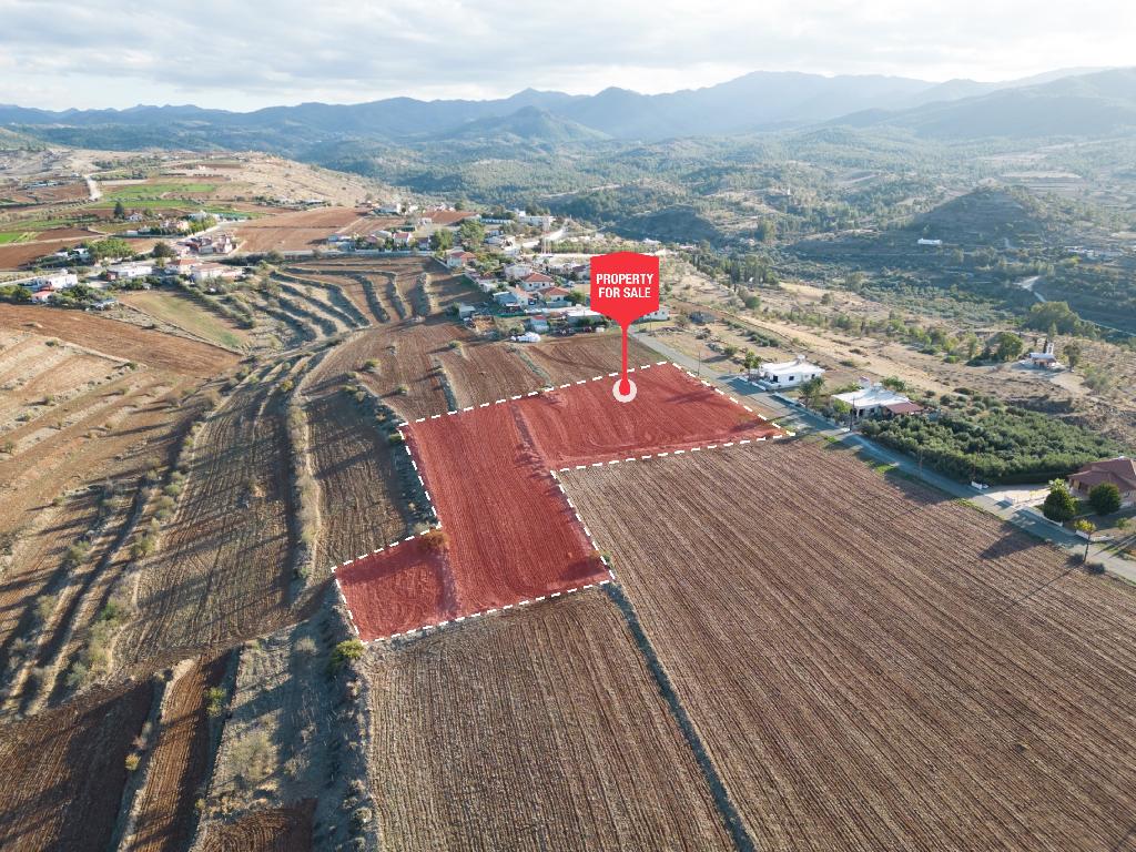 Field - Vyzakia, Nicosia
