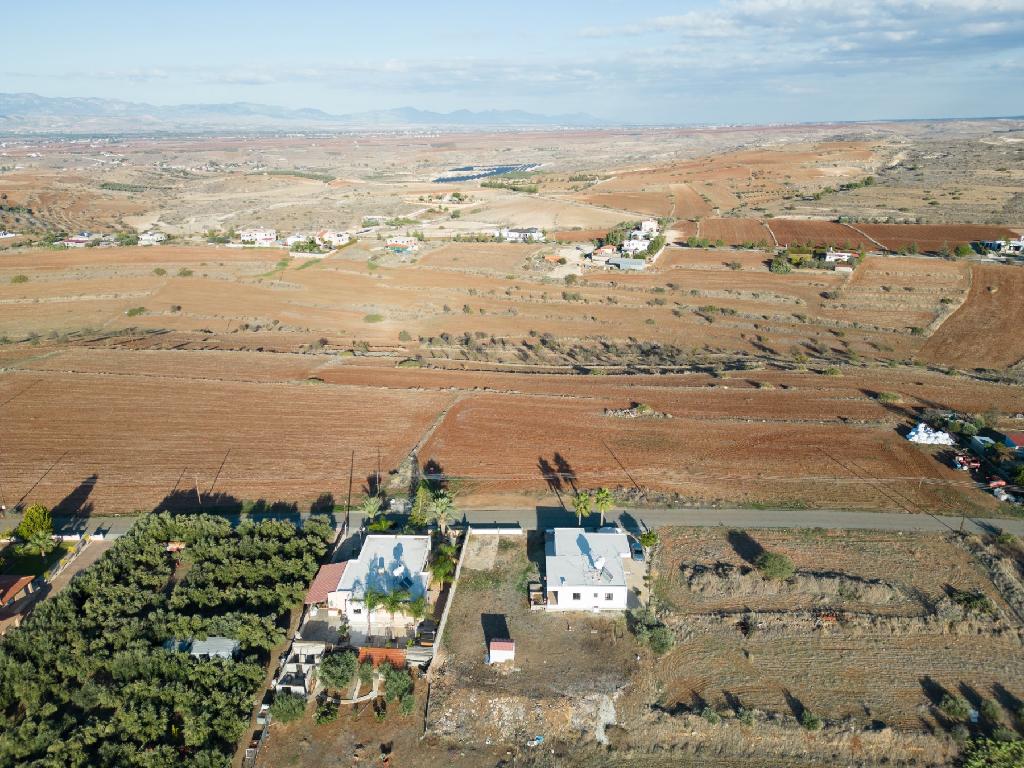 Field - Vyzakia, Nicosia