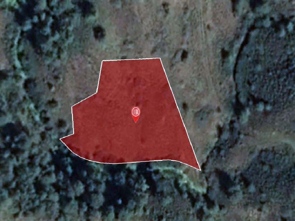 Field-Pigenia-PR13476
