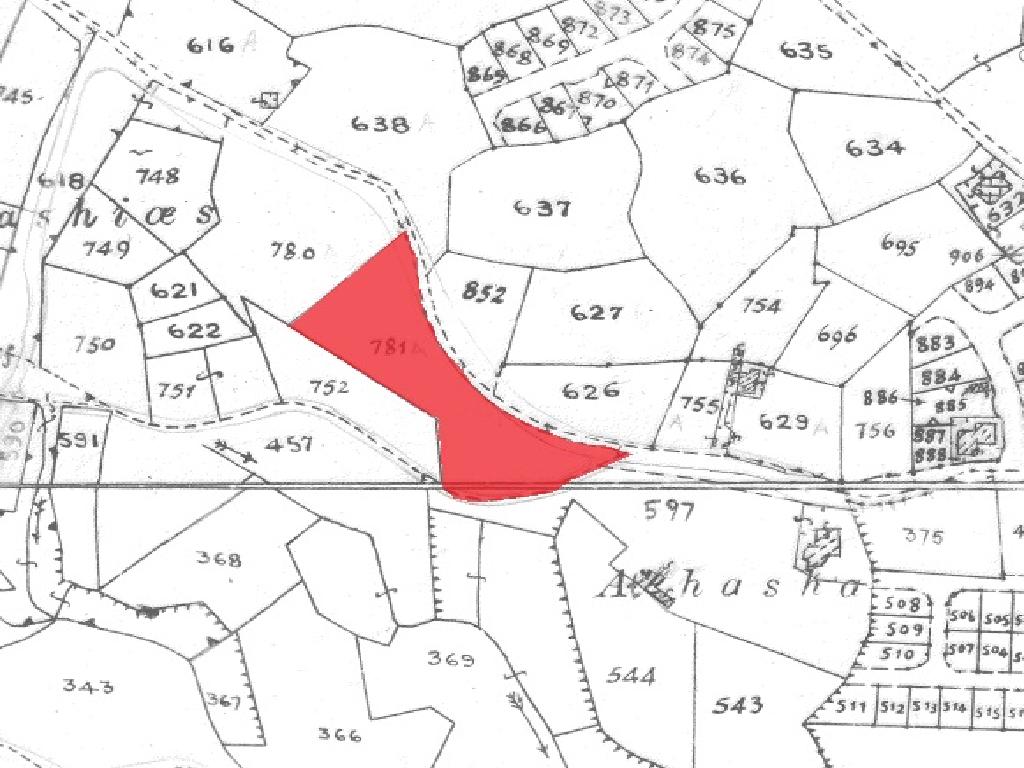 Field-Analiontas-PR32358
