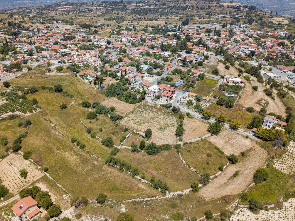 Field (Share) - Pachna, Limassol