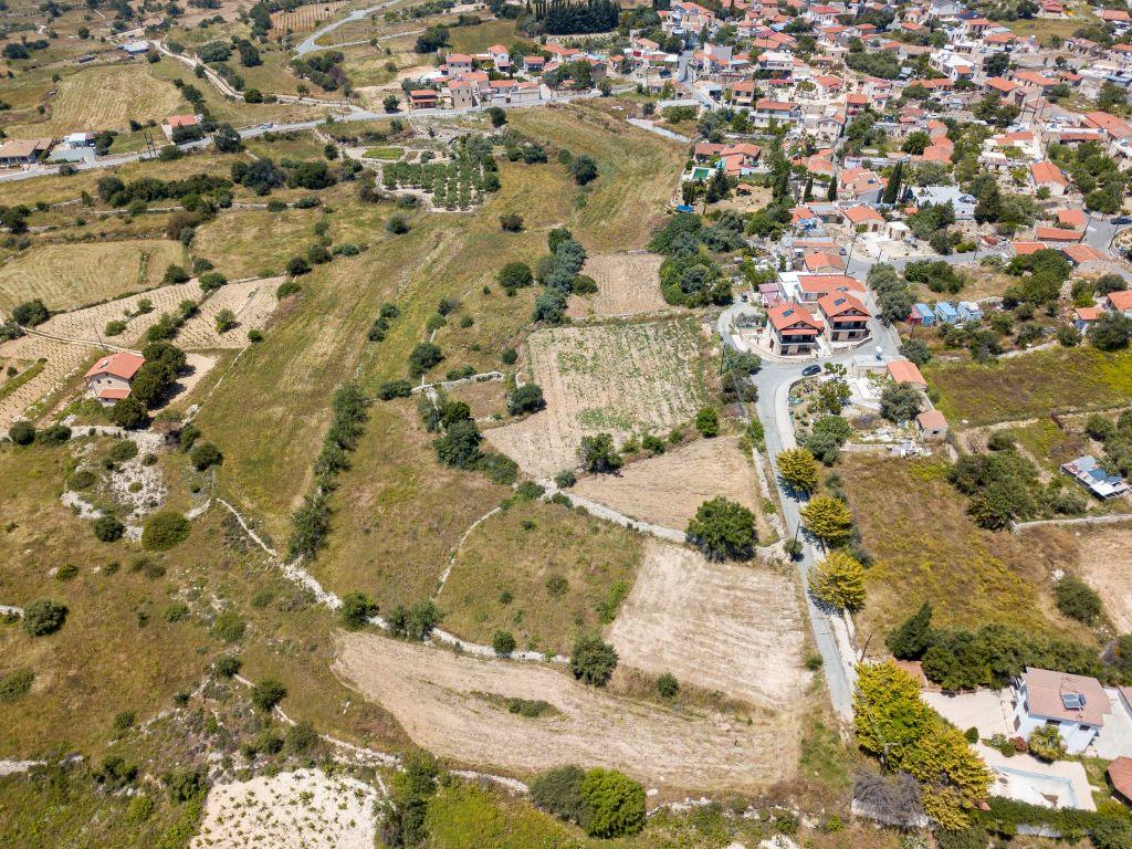 Field (Share) - Pachna, Limassol