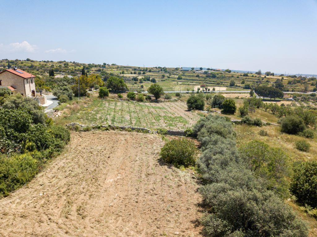 Field (Share) - Pachna, Limassol