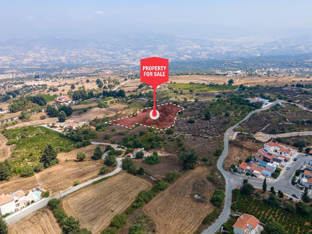 Field-Drouseia-PR36780