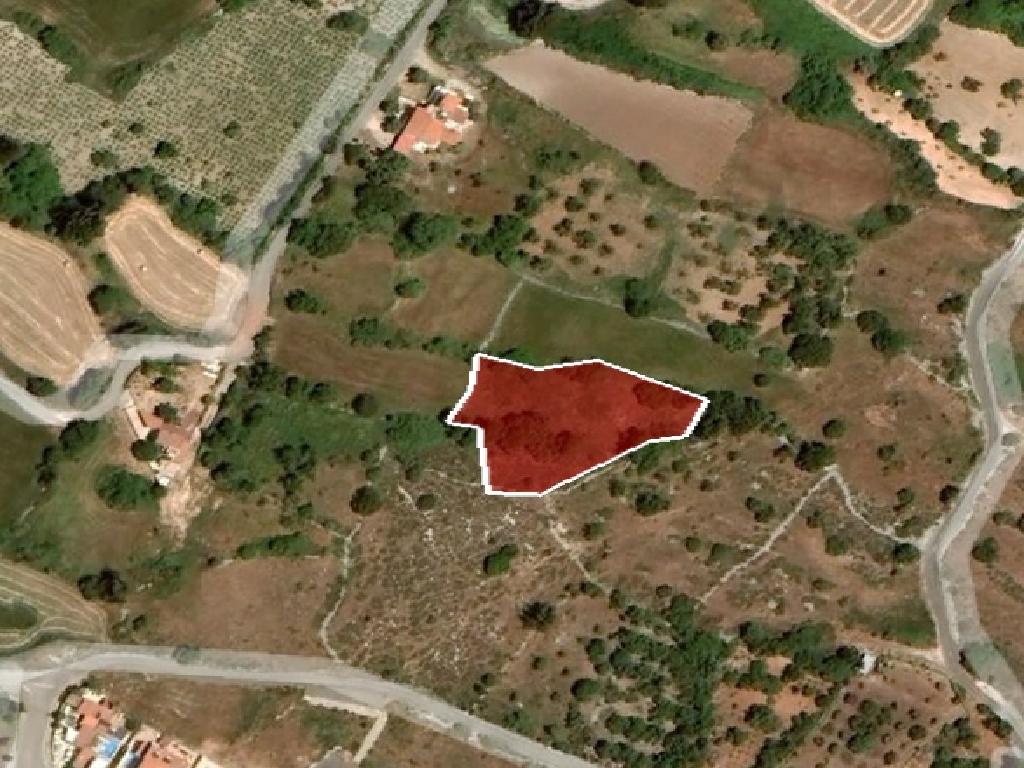 Field-Drouseia-PR36780