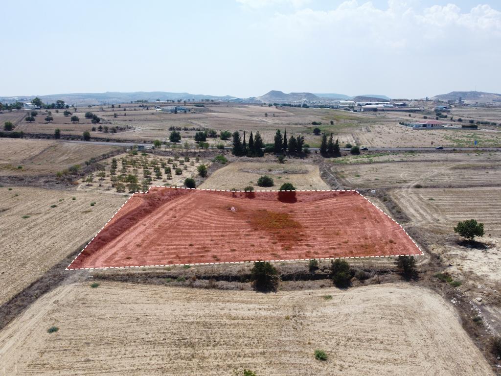 Field - Athienou, Larnaca