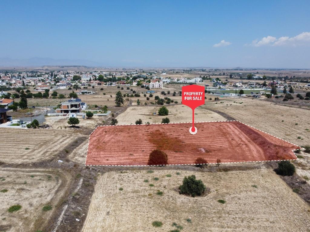 Field - Athienou, Larnaca