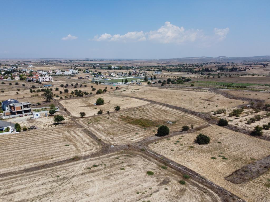 Field - Athienou, Larnaca