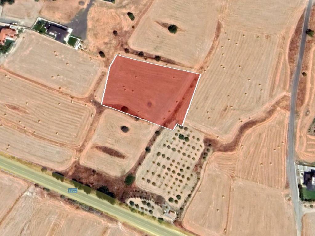 Field-Athienou-PR37495