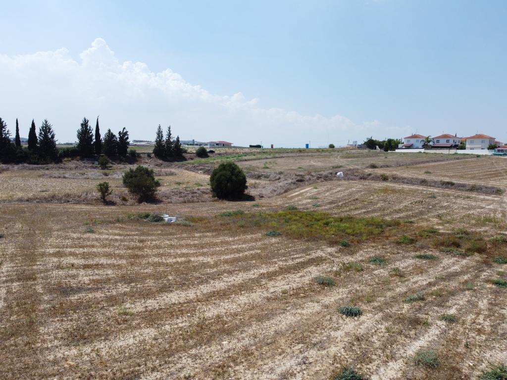 Field - Athienou, Larnaca