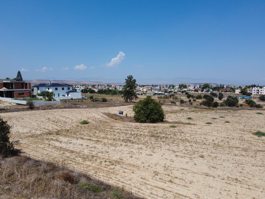 Field - Athienou, Larnaca