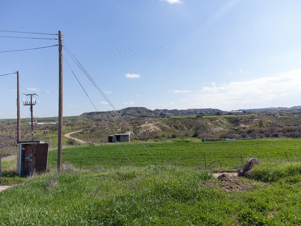 Field-Arediou-PR37602