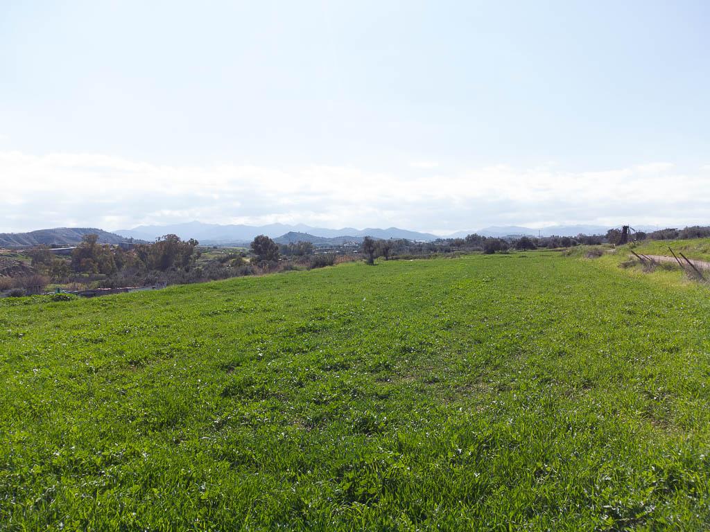 Field-Arediou-PR37602