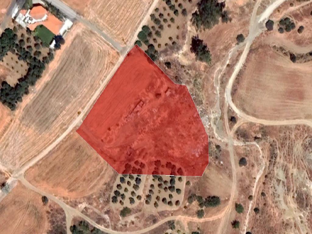 Field-Arediou-PR37602