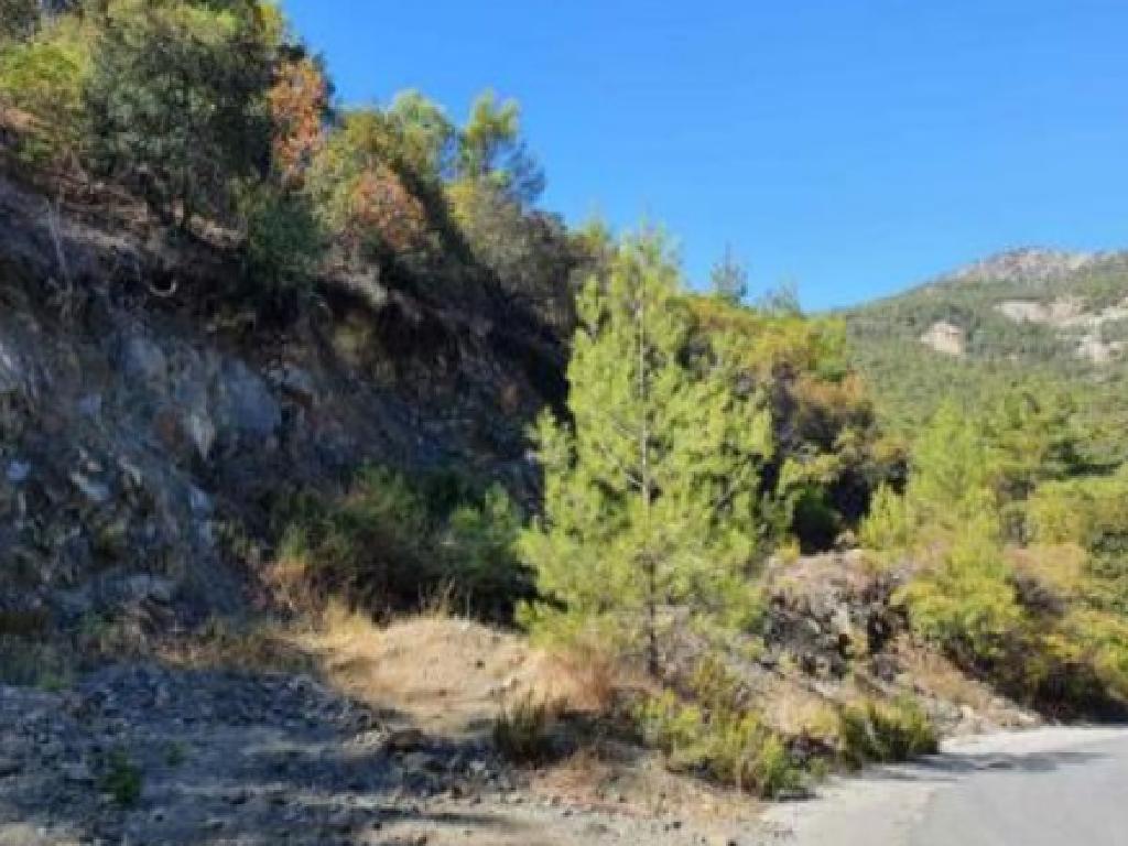 Field-Pelendri-PR38084