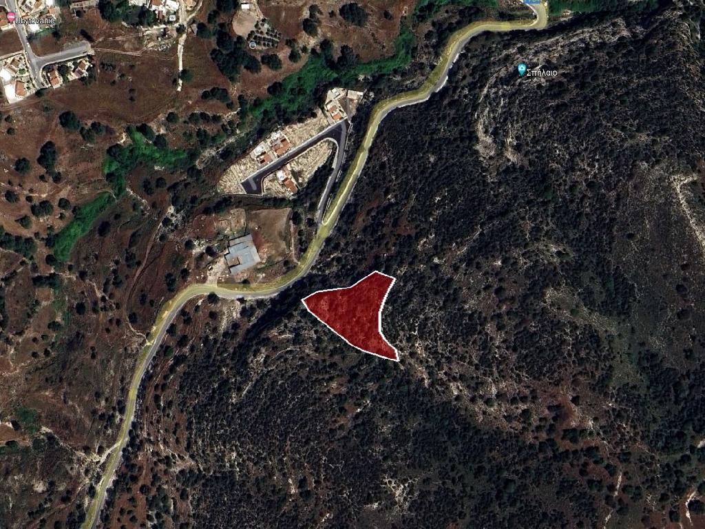 Field-Akoursos-PR40153