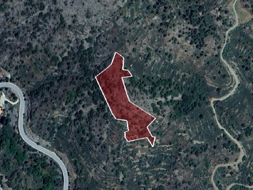 Field-Palaichori Morfou-PR40248