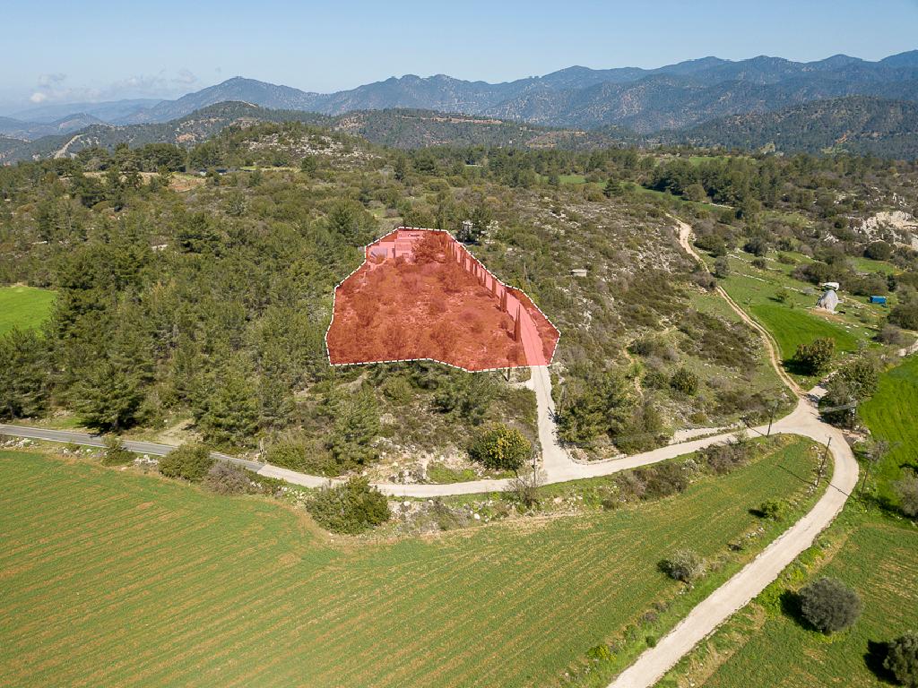 Villa-Lysos-PR40558
