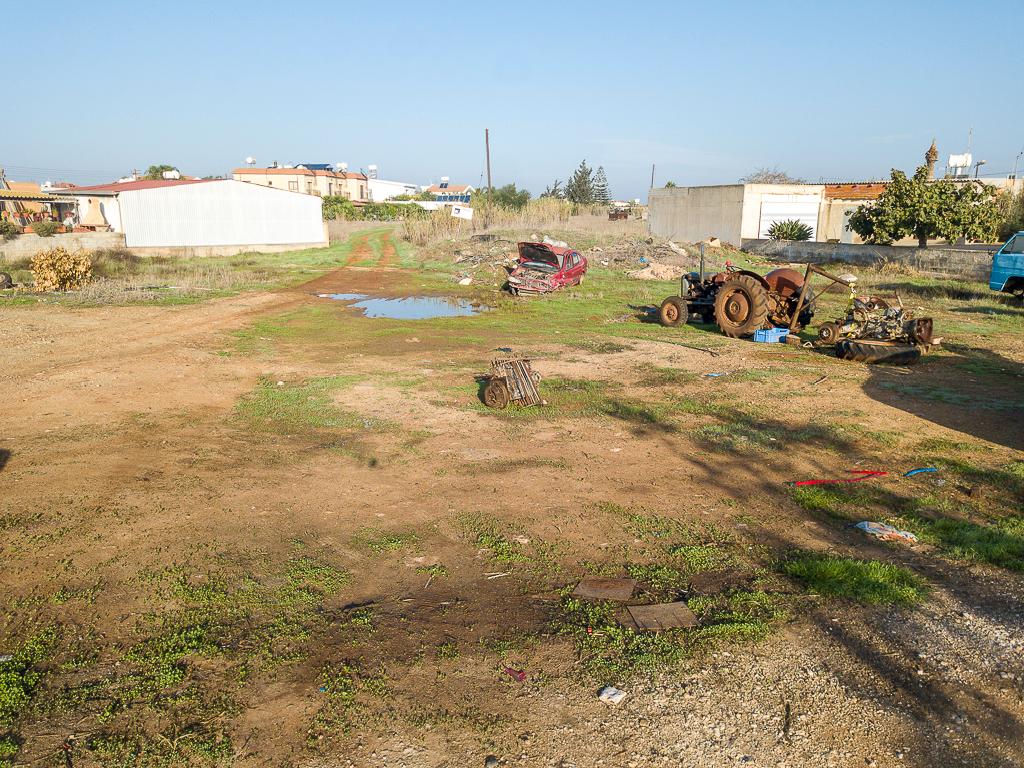 Field-Liopetri-PR41386
