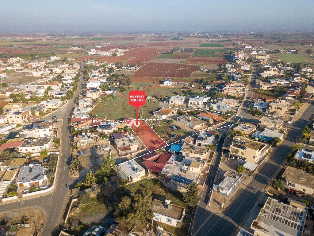 Field-Liopetri-PR41386