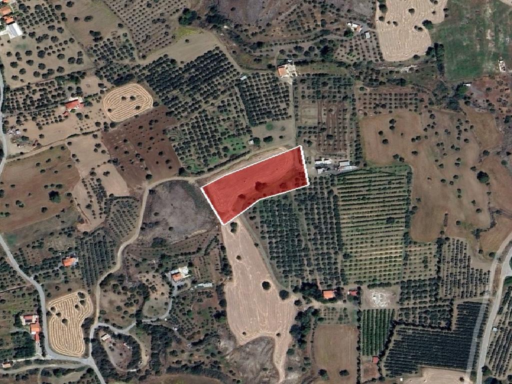 Field-Agglisides-PR42869