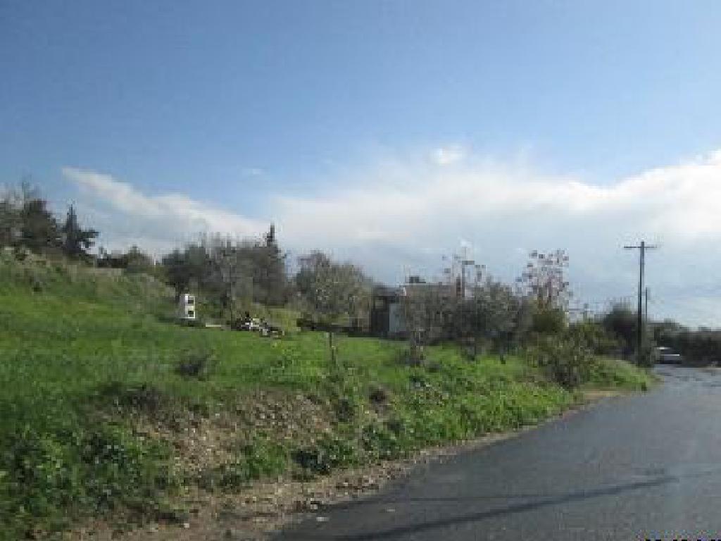 Field (share) - Agia Marinouda, Paphos