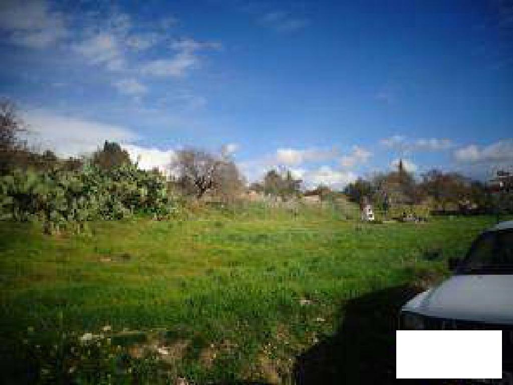 Field (share) - Agia Marinouda, Paphos