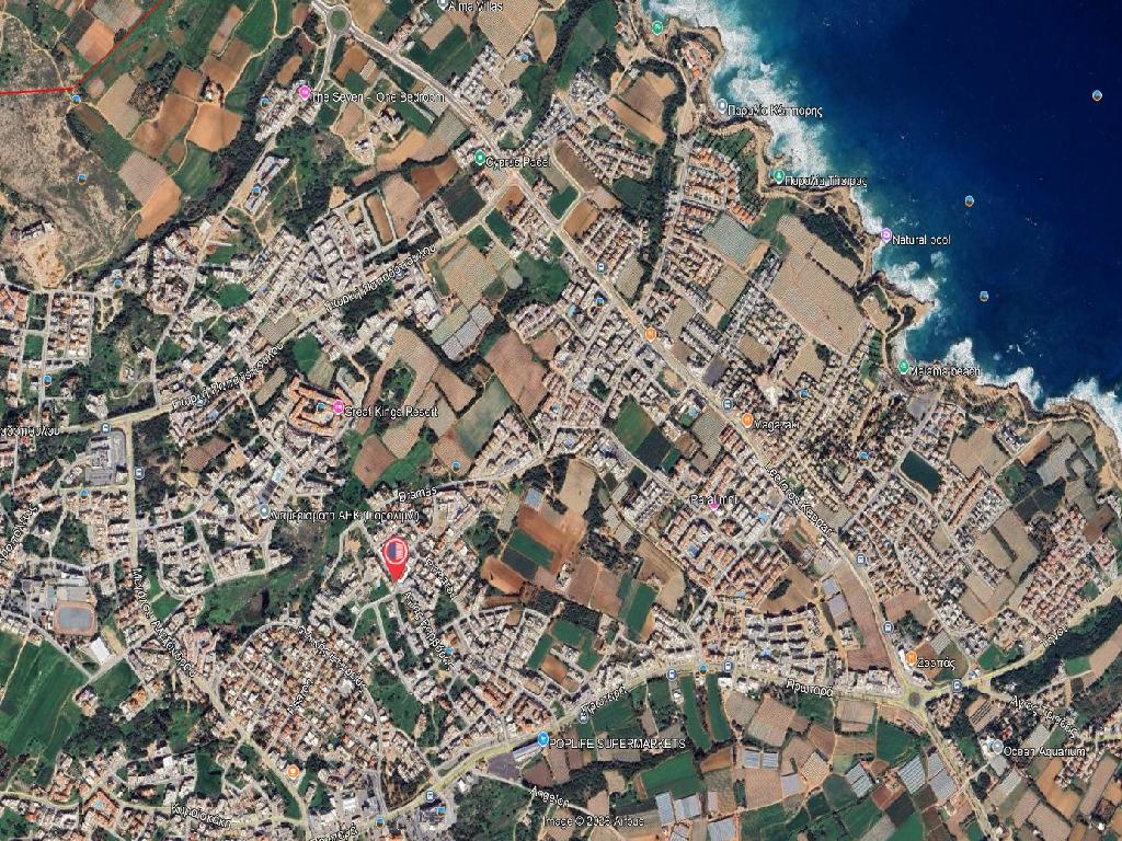 Flat-Paralimni-CP10277