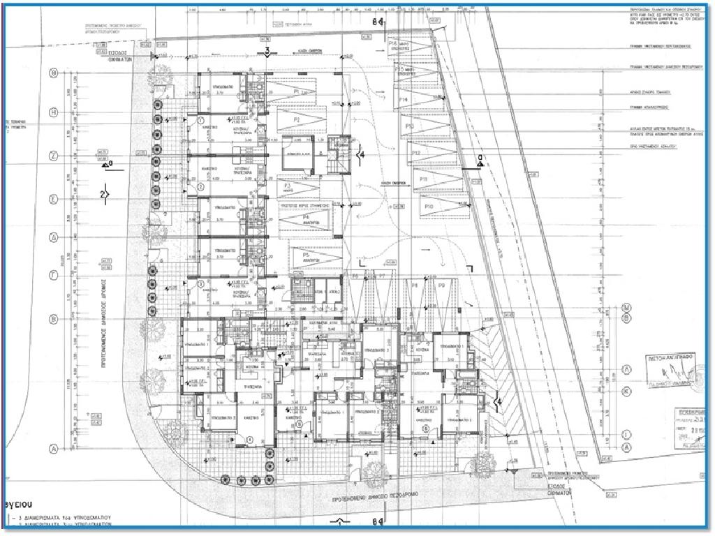 Flat-Paralimni-CP10277