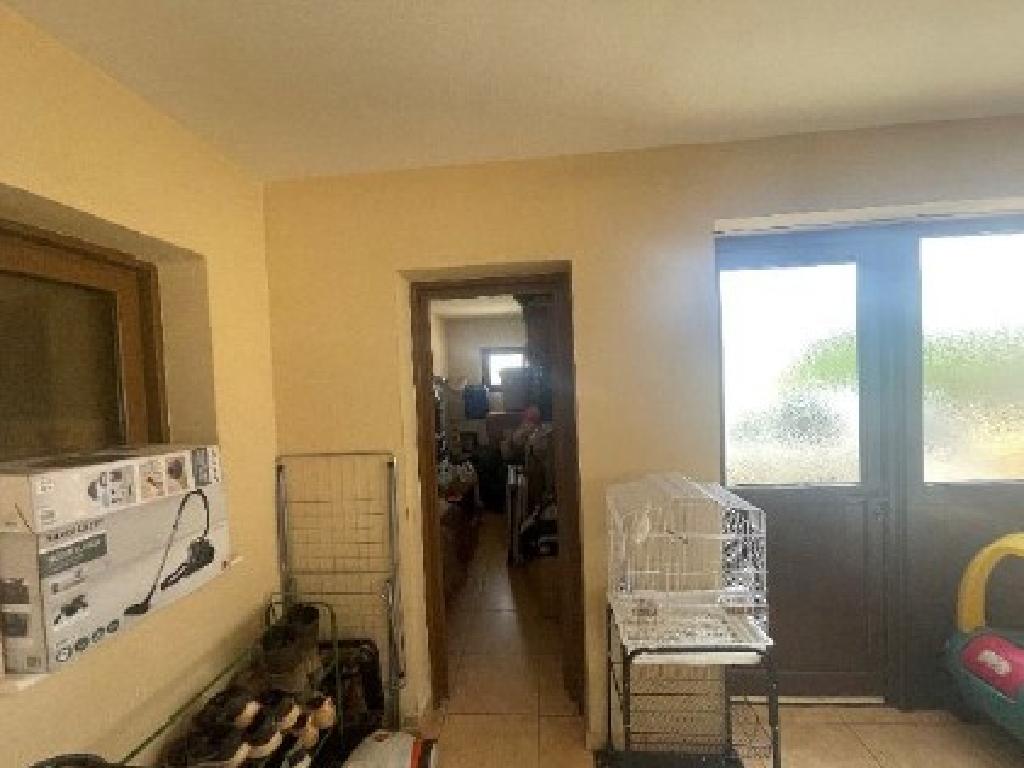 &Mu;&omicron;&nu;&omicron;&kappa;&alpha;&tau;&omicron;&iota;&kappa;ί&alpha;-&Phi;&rho;έ&nu;&alpha;&rho;&omicron;&sigmaf;-PR44688