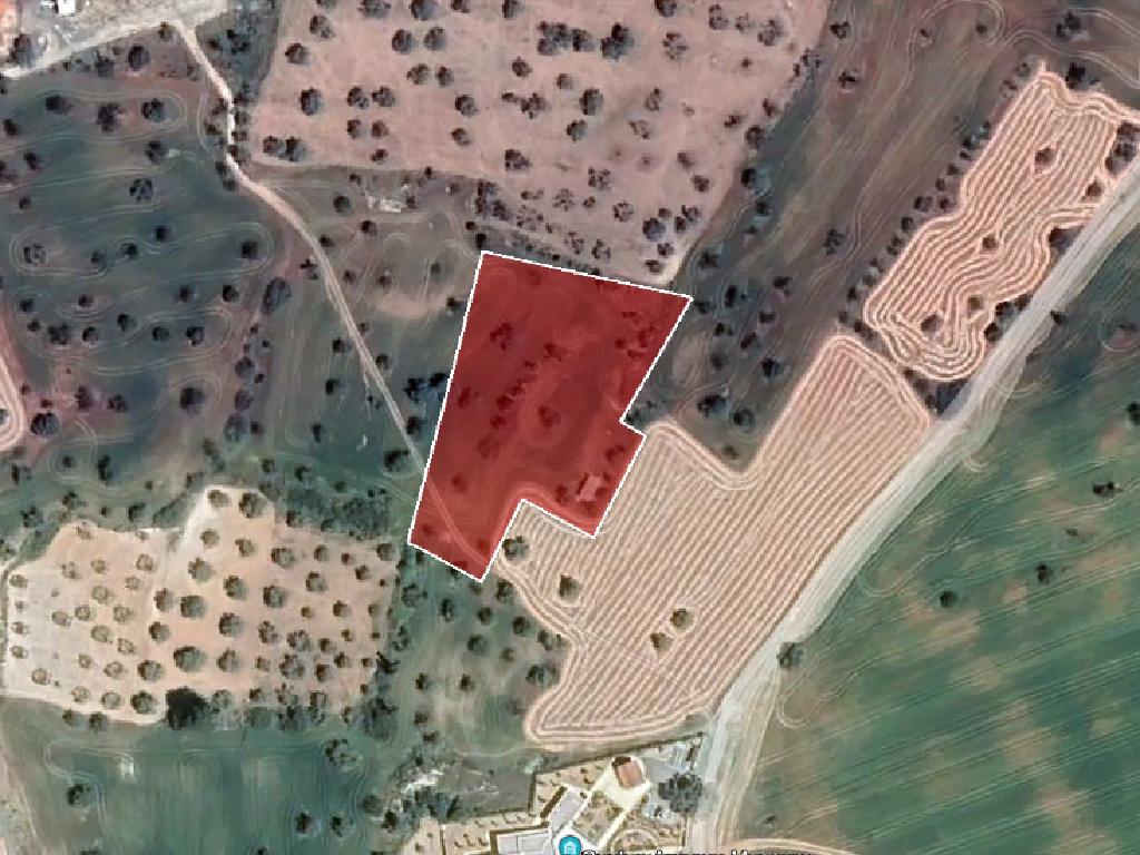 Field-Mazotos-PR14083