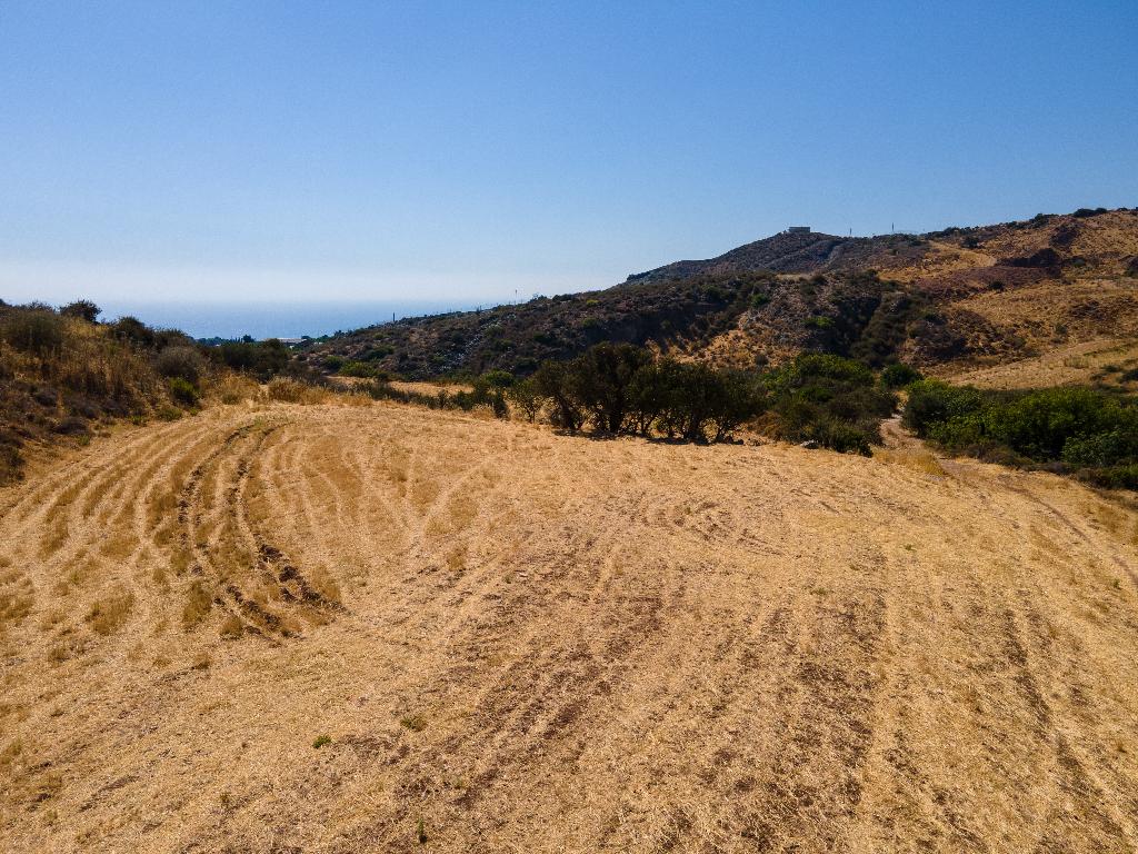Field (Share) - Kissonerga, Paphos
