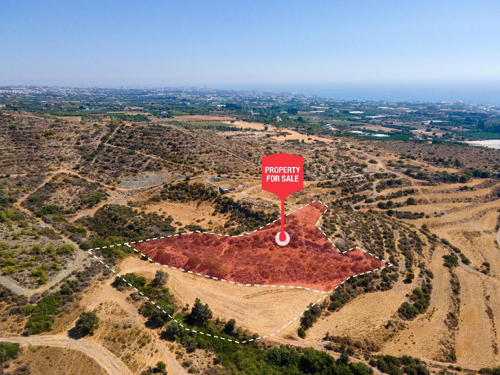 Field (Share) - Kissonerga, Paphos