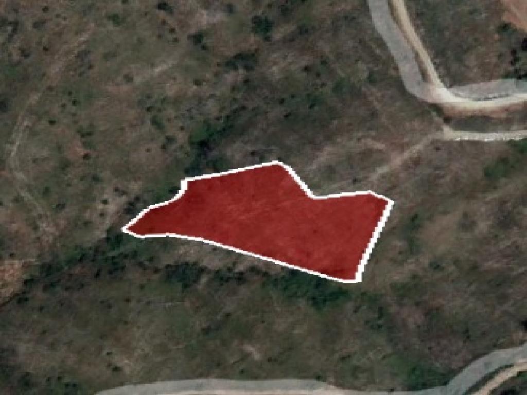 Field-Ora-PR36393