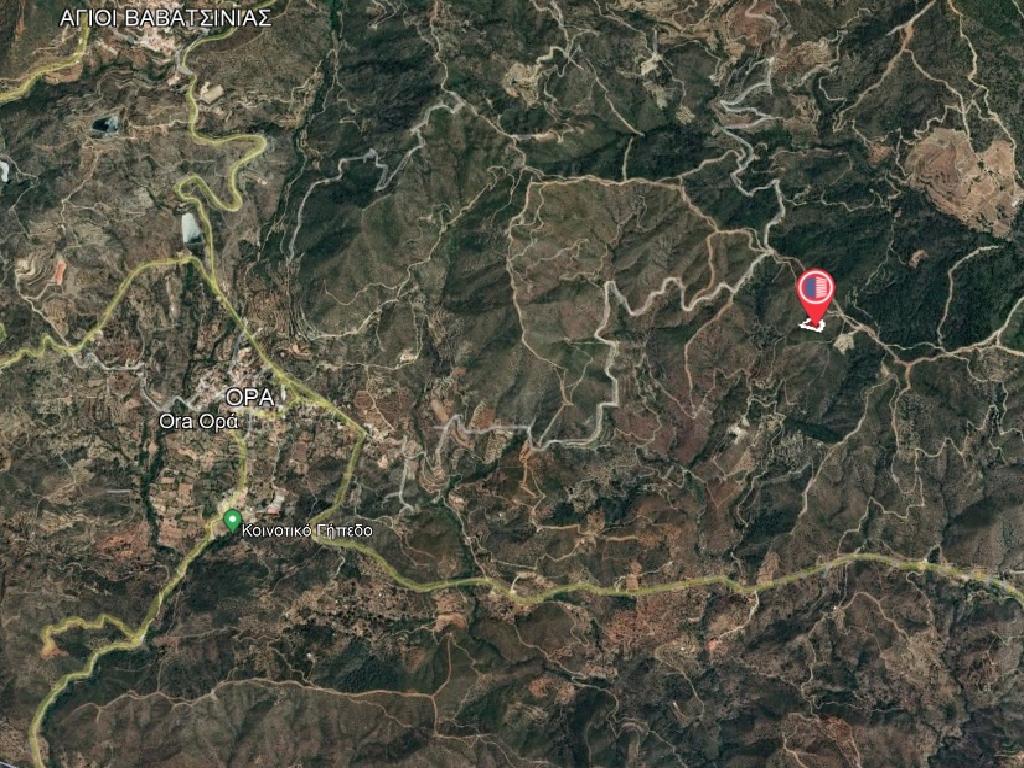 Field-Ora-PR36393